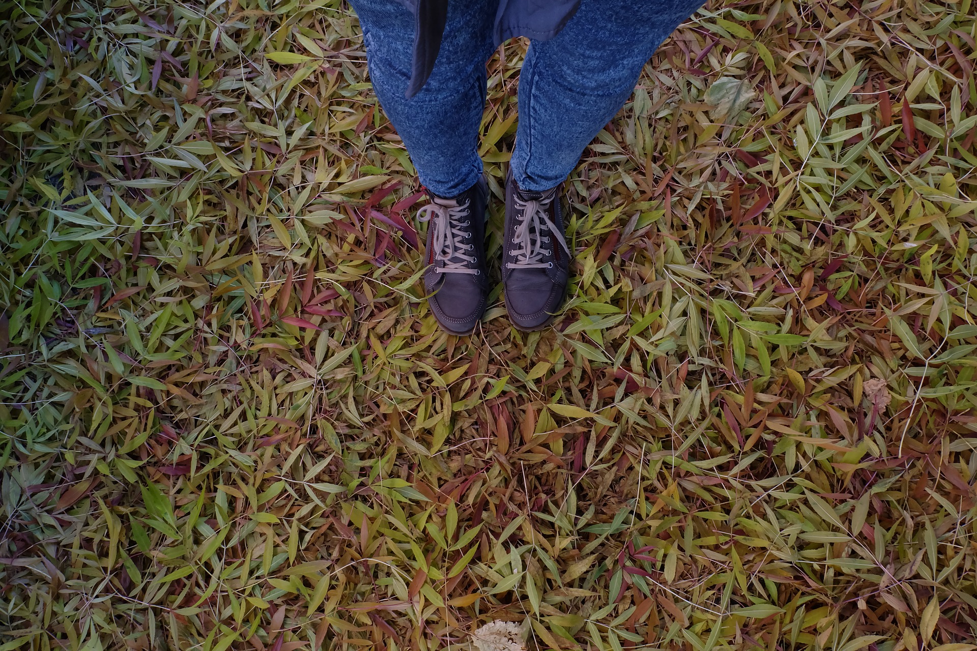 feet in the leaves